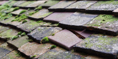 Meppershall roof repair costs